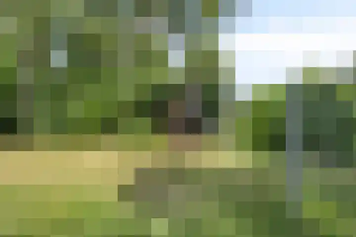 Kortelaan 49 Maarssen thumbnail 27