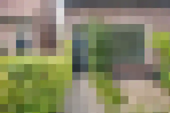 Kortelaan 49 Maarssen thumbnail 28