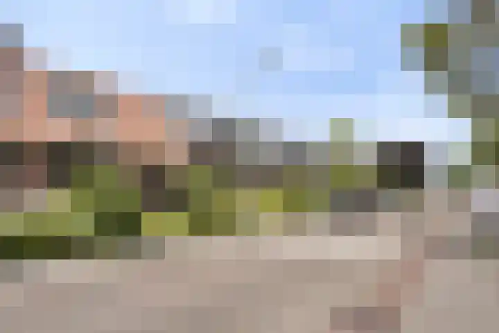 Kortelaan 49 Maarssen thumbnail 29
