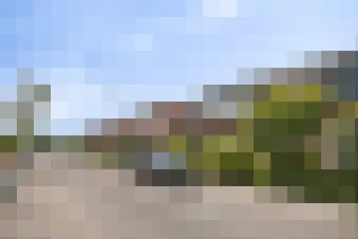 Kortelaan 49 Maarssen thumbnail 30