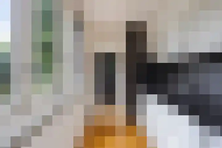 Kortelaan 49 Maarssen thumbnail 5