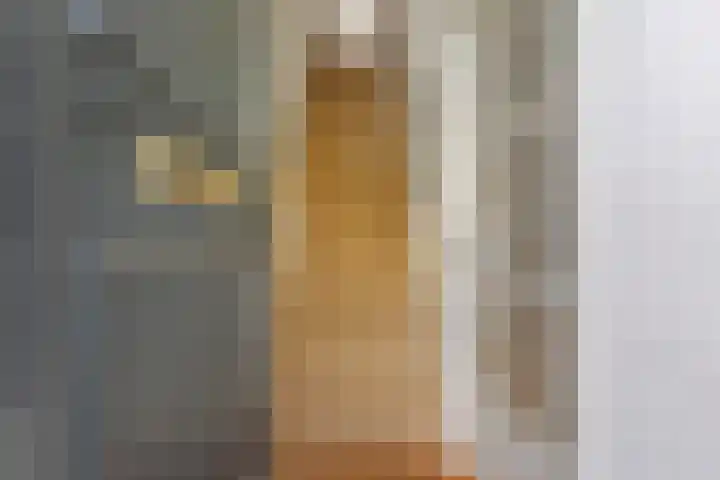 Kortelaan 49 Maarssen thumbnail 6