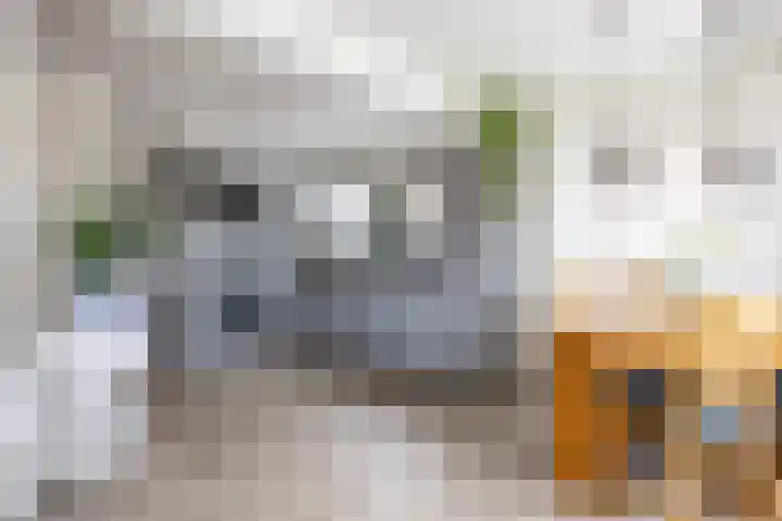 Kortelaan 5 Surhuisterveen thumbnail 10