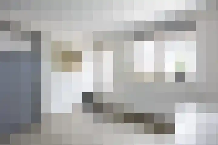Kortelaan 5 Surhuisterveen thumbnail 15