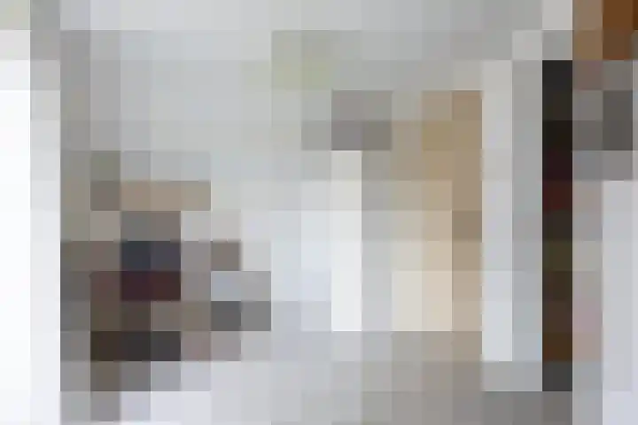 Kortelaan 5 Surhuisterveen thumbnail 25