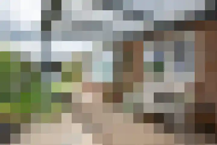 Kortelaan 5 Surhuisterveen thumbnail 29