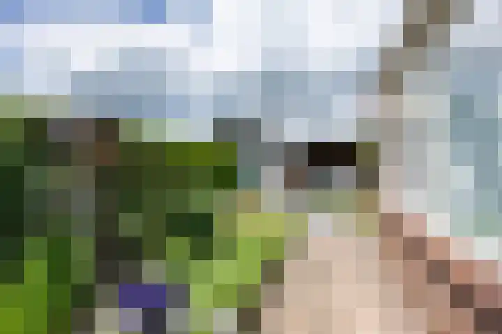 Kortelaan 5 Surhuisterveen thumbnail 30