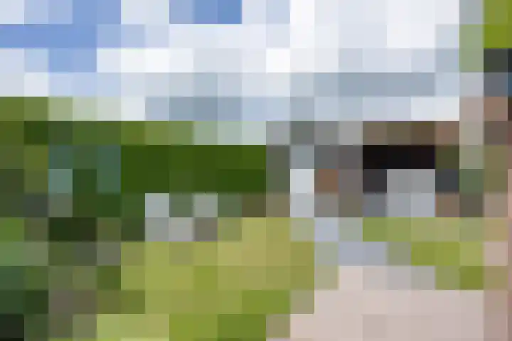 Kortelaan 5 Surhuisterveen thumbnail 31