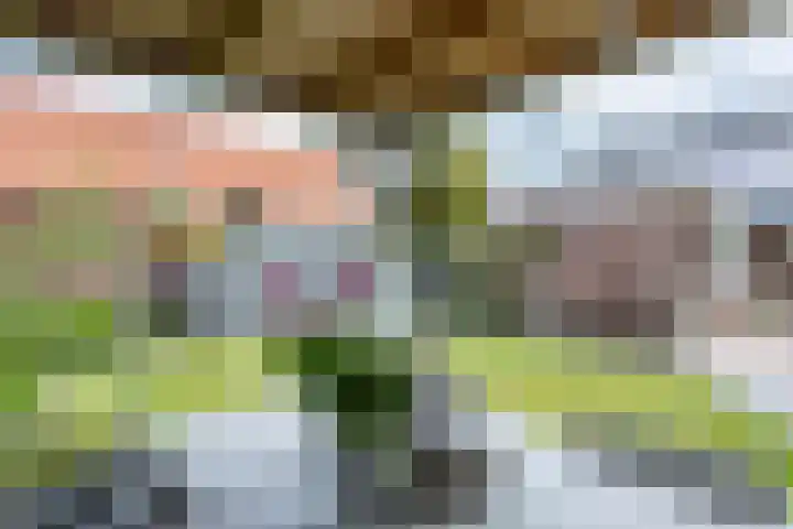 Kortelaan 5 Surhuisterveen thumbnail 32