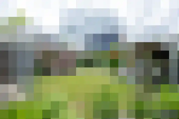 Kortelaan 5 Surhuisterveen thumbnail 33