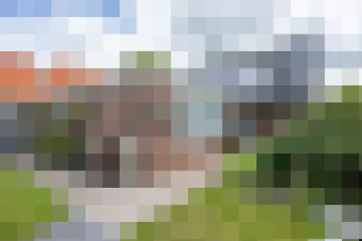 Kortelaan 5 Surhuisterveen thumbnail 36