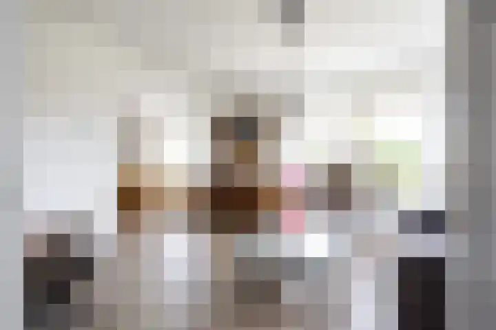 Kortelaan 5 Surhuisterveen thumbnail 5