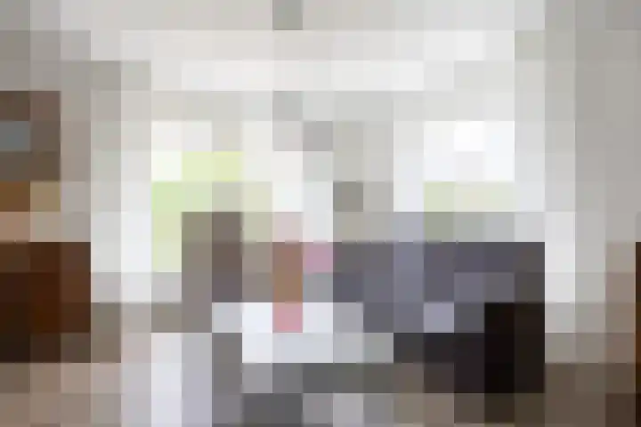 Kortelaan 5 Surhuisterveen thumbnail 7