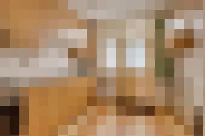 Kortelaan 7 Barneveld thumbnail 12