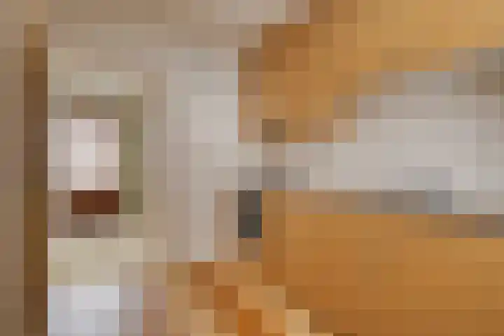 Kortelaan 7 Barneveld thumbnail 13