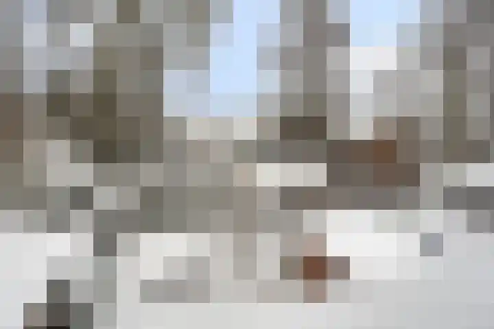 Kortelaan 7 Barneveld thumbnail 27