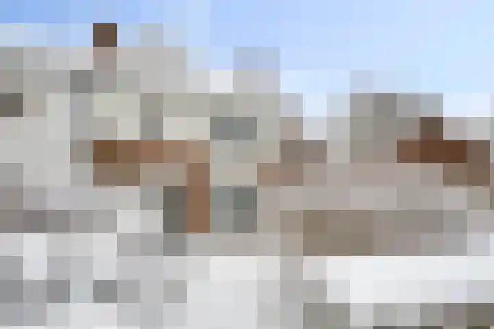 Kortelaan 7 Barneveld thumbnail 4