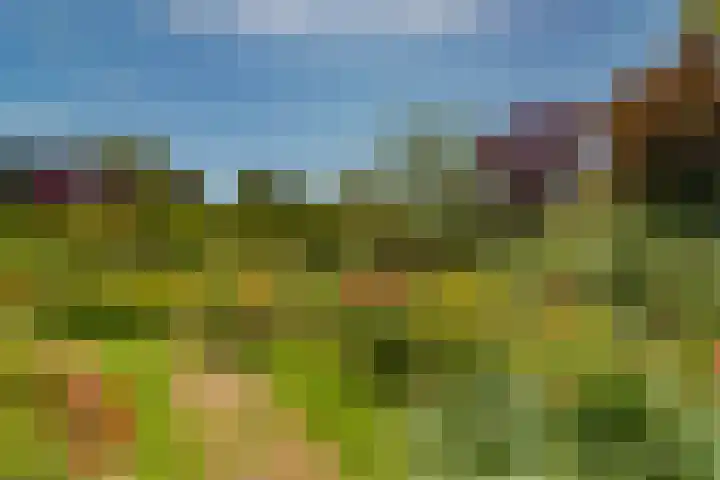 Kortelandsedreef 5 Nootdorp thumbnail 17