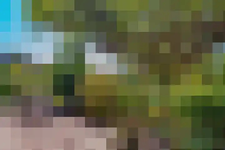 Kortelandsedreef 5 Nootdorp thumbnail 18