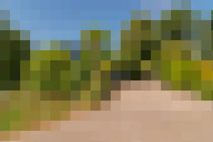 Kortelandsedreef 5 Nootdorp thumbnail 37