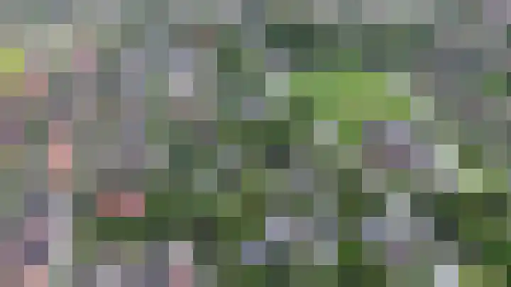 Kortelandsedreef 5 Nootdorp thumbnail 54