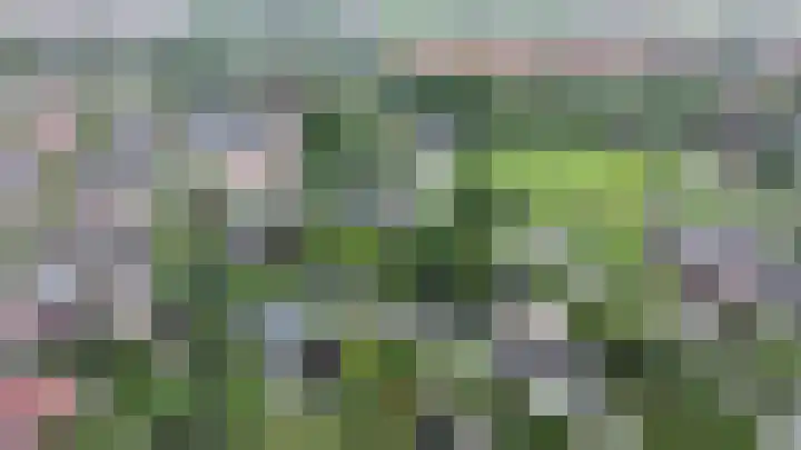 Kortelandsedreef 5 Nootdorp thumbnail 55