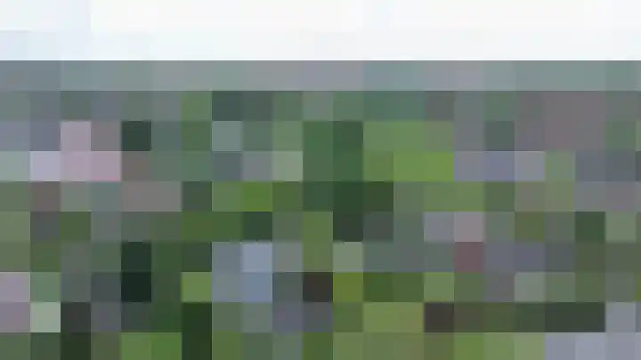 Kortelandsedreef 5 Nootdorp thumbnail 59