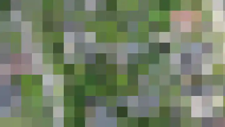 Kortelandsedreef 5 Nootdorp thumbnail 65