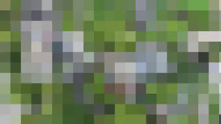 Kortelandsedreef 5 Nootdorp thumbnail 66