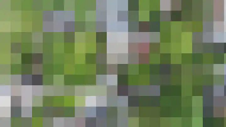 Kortelandsedreef 5 Nootdorp thumbnail 67