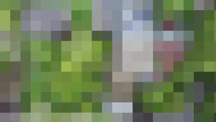 Kortelandsedreef 5 Nootdorp thumbnail 68