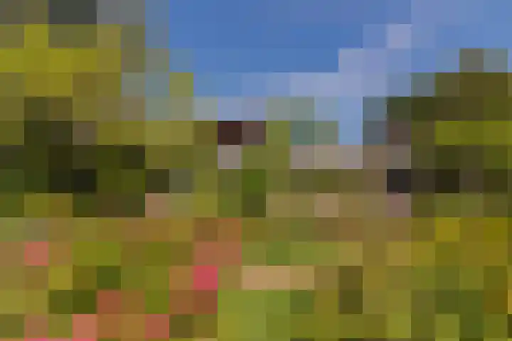 Kortelandsedreef 5 Nootdorp thumbnail 7