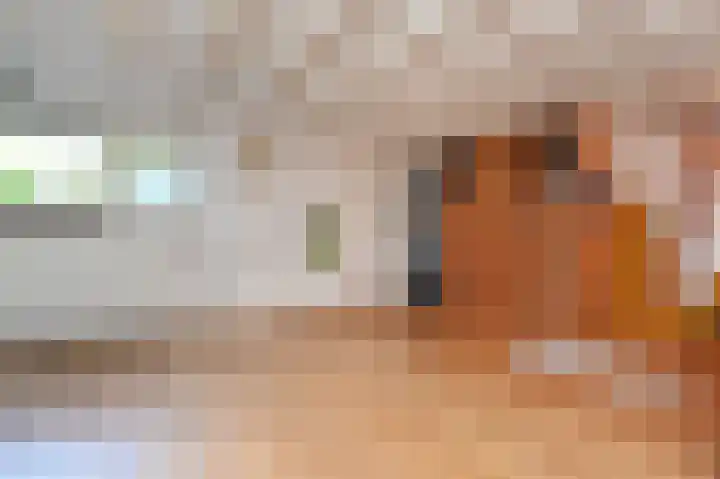 Kortelandsedreef 7 Nootdorp thumbnail 52