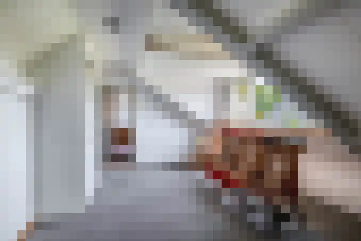 Kortelandseweg 22 Nootdorp thumbnail 31