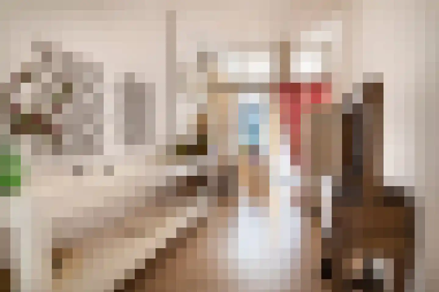 Kortemeestraat 7 Bergen op Zoom thumbnail 10