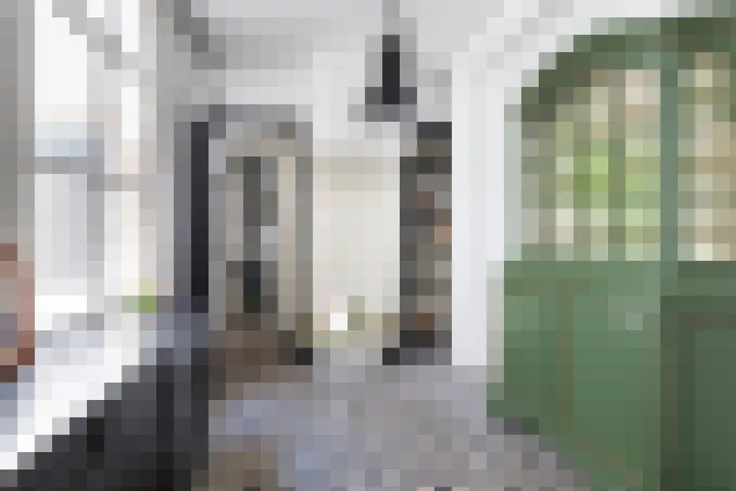 Kortemeestraat 7 Bergen op Zoom thumbnail 14