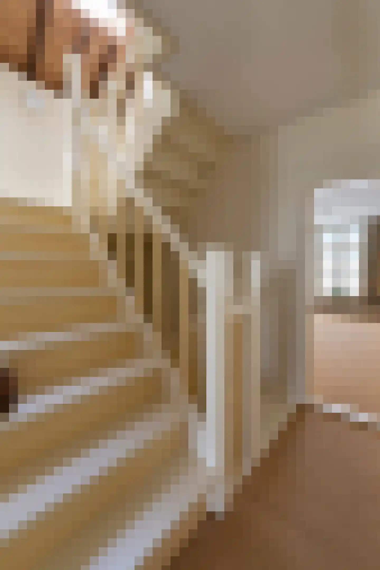 Kortemeestraat 7 Bergen op Zoom thumbnail 38