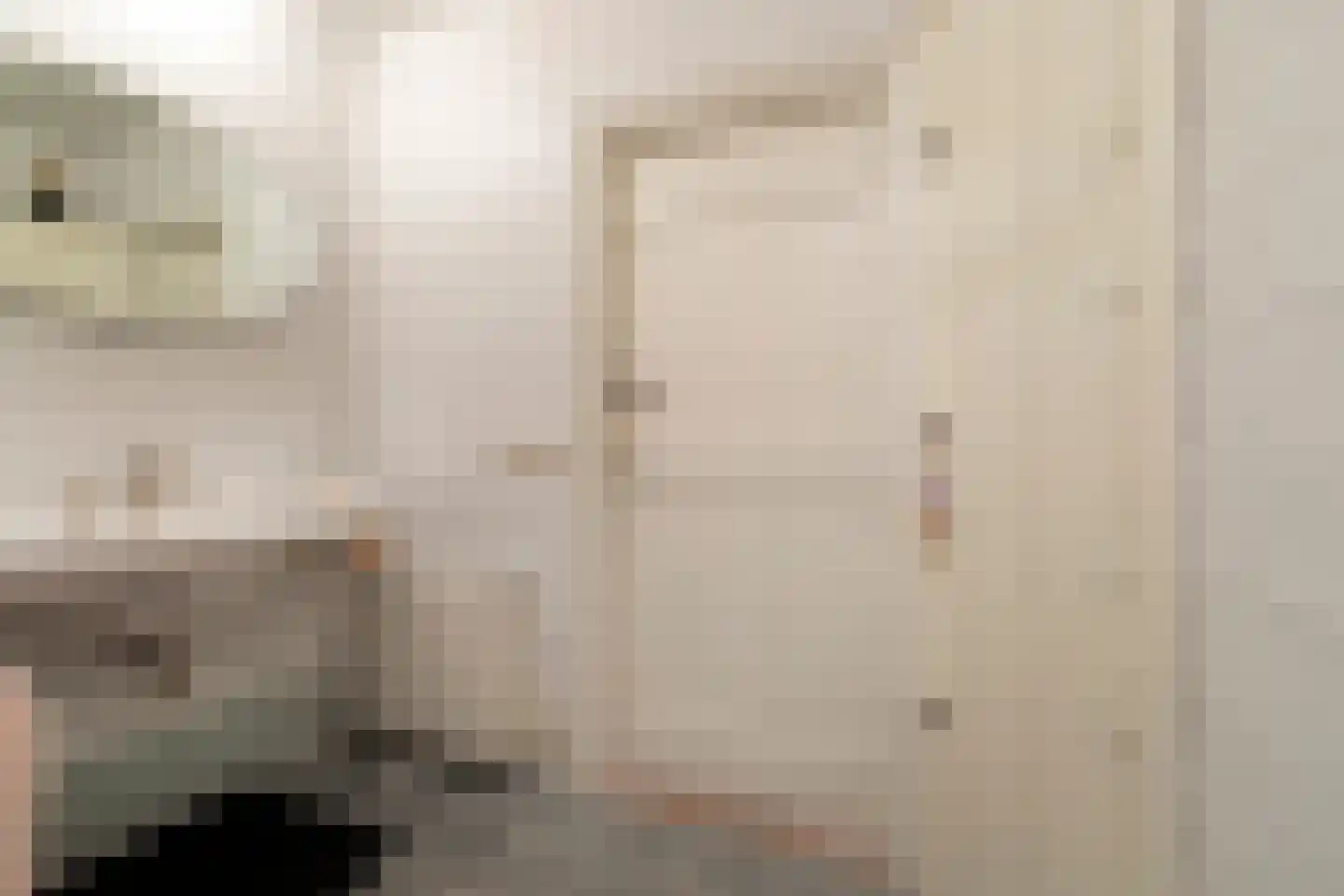 Kortemeestraat 7 Bergen op Zoom thumbnail 48