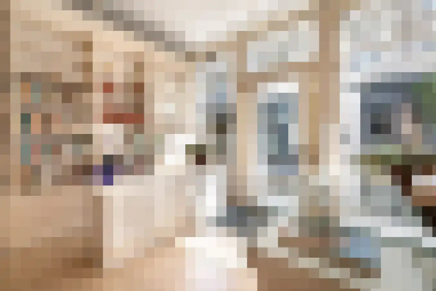 Kortemeestraat 7 Bergen op Zoom thumbnail 7