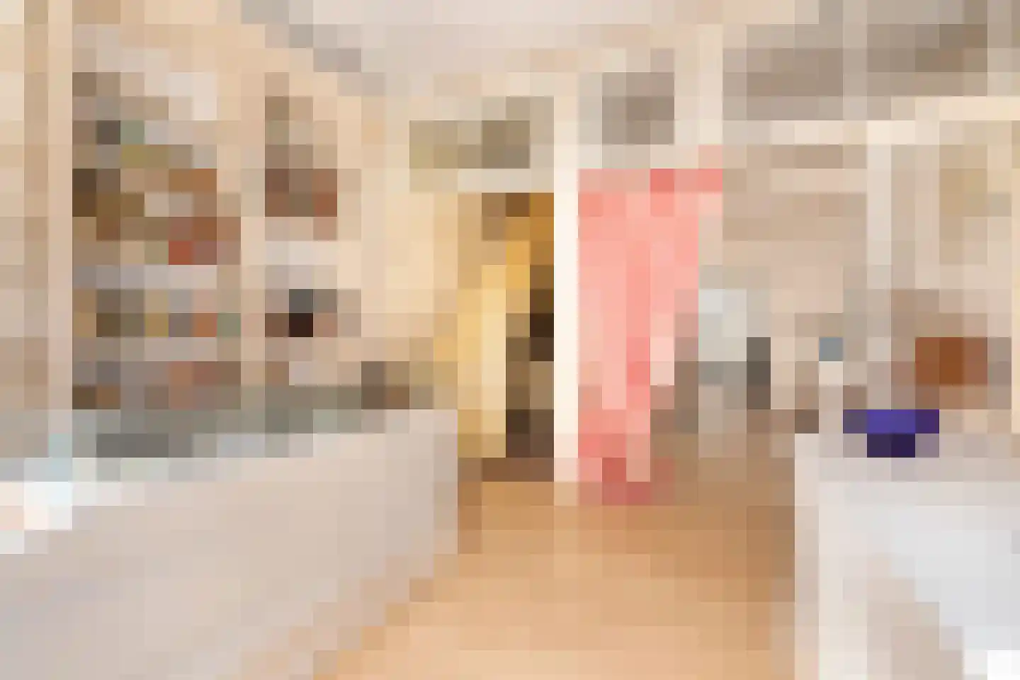 Kortemeestraat 7 Bergen op Zoom thumbnail 8