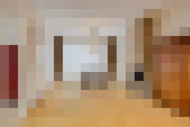 Kortenaarlaan 17 Oirschot thumbnail 11