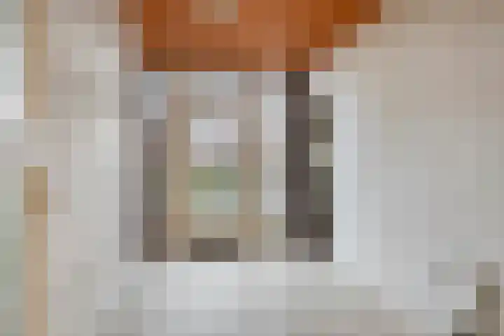 Kortenaarlaan 17 Oirschot thumbnail 18
