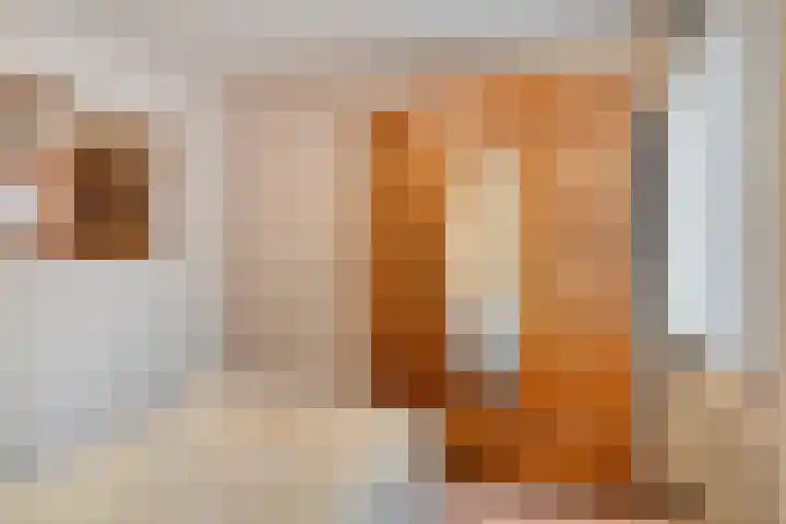 Kortenaarlaan 17 Oirschot thumbnail 25