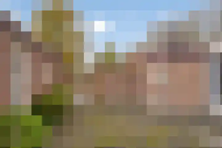 Kortenaarlaan 17 Oirschot thumbnail 32