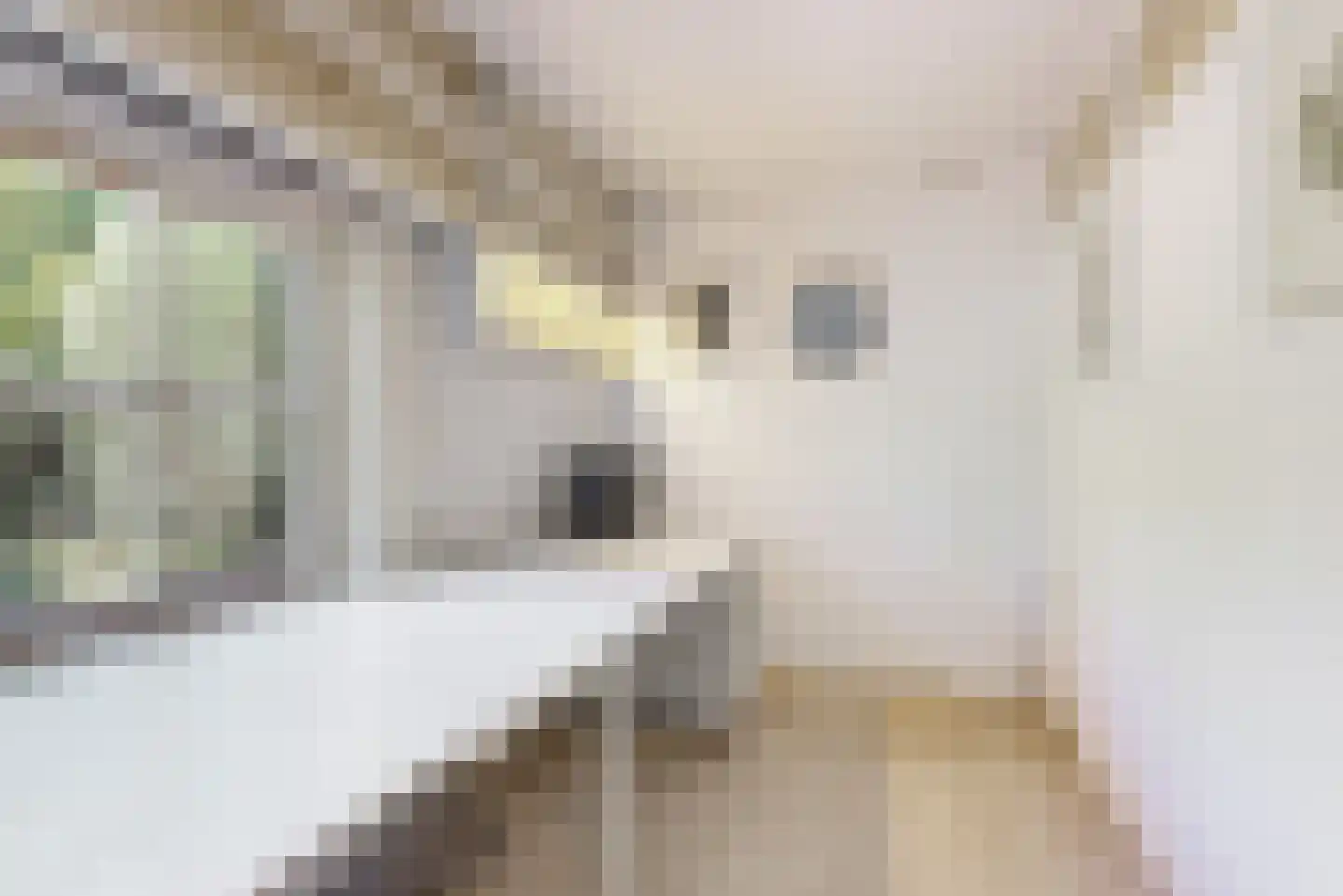 Kortenaerlaan 1 Maarn thumbnail 19