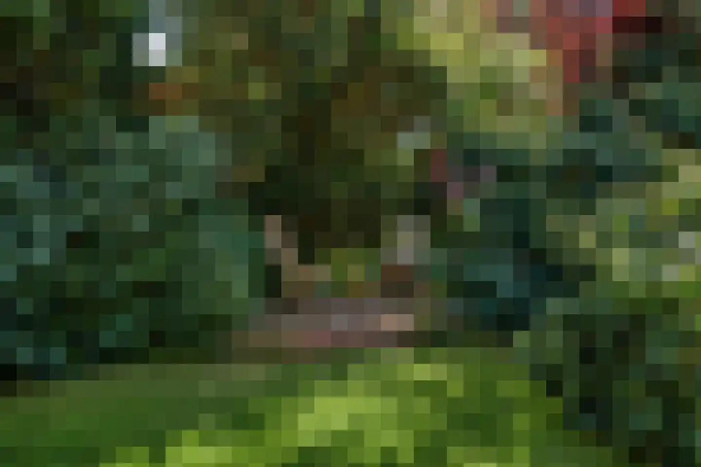 Kortenaerlaan 1 Maarn thumbnail 25