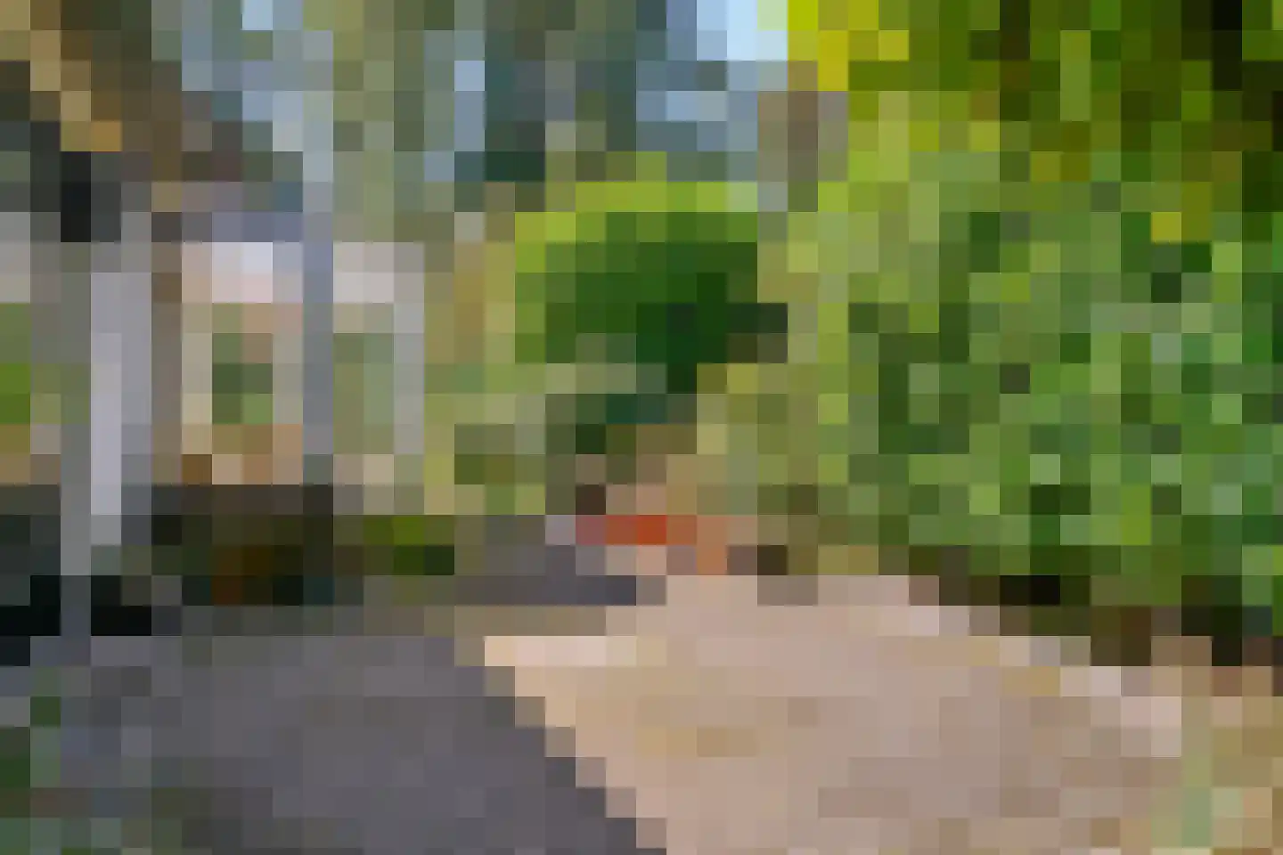 Kortenaerlaan 1 Maarn thumbnail 30