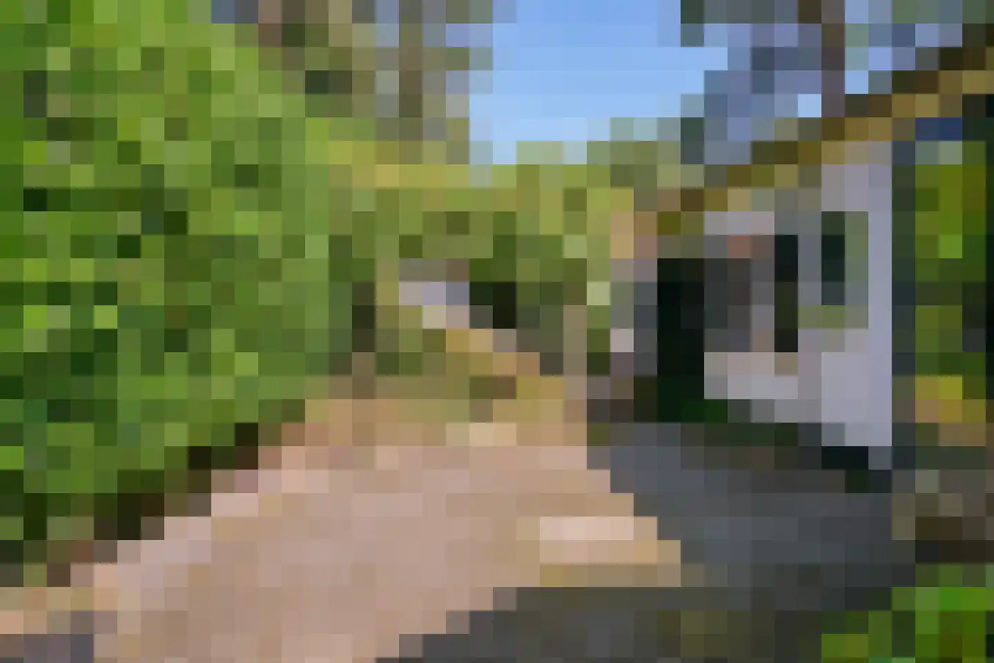 Kortenaerlaan 1 Maarn thumbnail 31