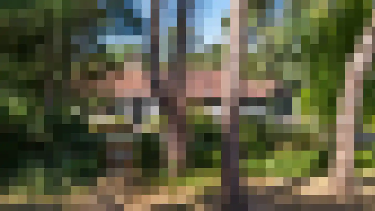 Kortenaerlaan 1 Maarn thumbnail 34