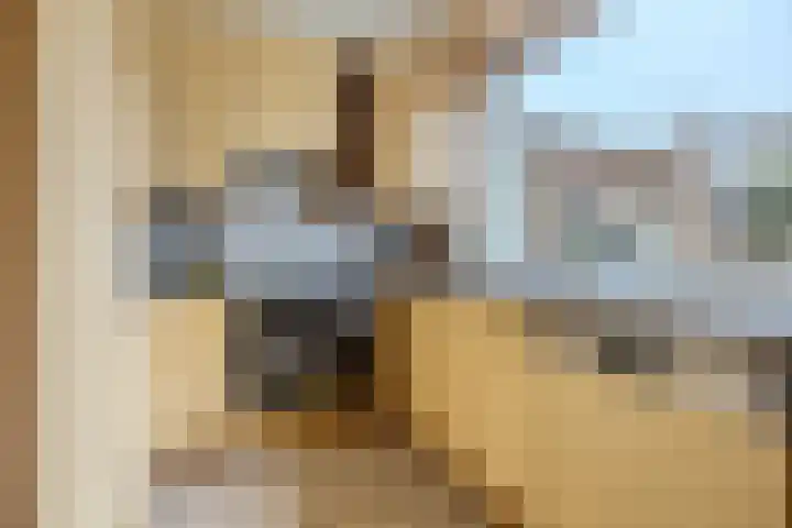 Kortenaerlaan 16 Terneuzen thumbnail 12